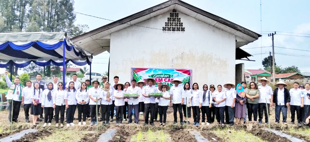 Jaga Ketersediaan dan Pasokan Cabai, Pemkab Simalungun Laksanakan Gerakan Tanam Cabai Merah Serentak