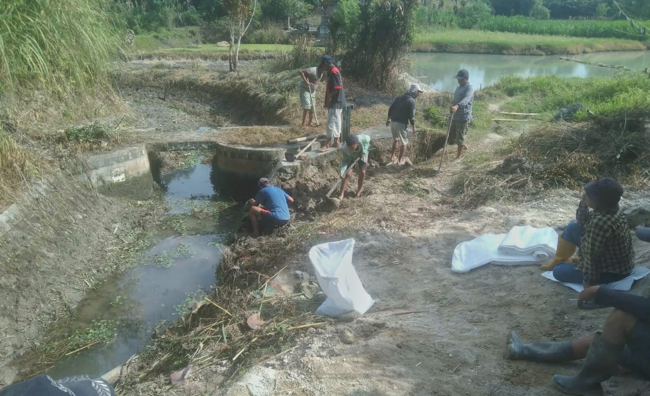 WhatsApp Image 2022-06-01 at 16.40.27