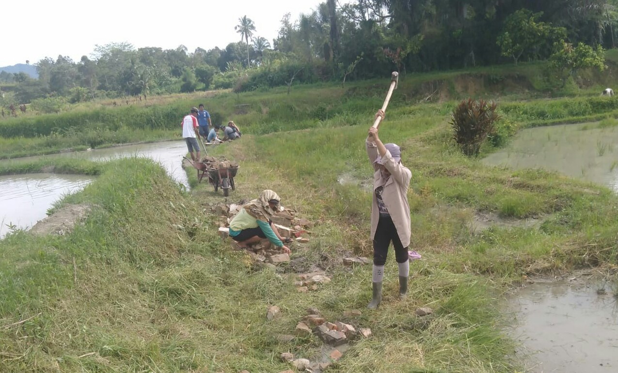 WhatsApp Image 2022-06-06 at 16.35.24