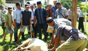 IMG-20220710-WA0011