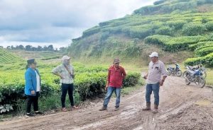 WhatsApp Image 2025-11-16 at 16.31.44