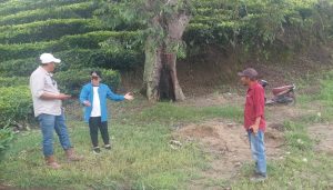 WhatsApp Image 2025-11-16 at 16.31.45