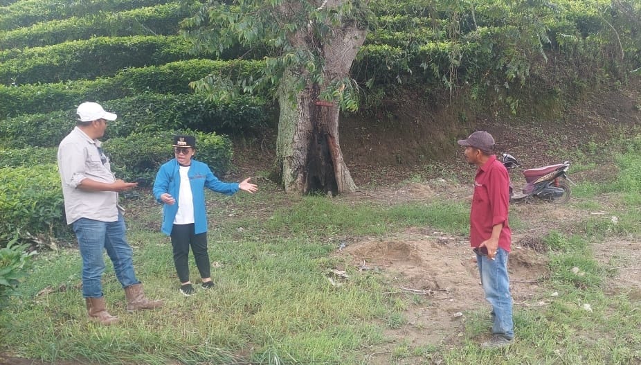 WhatsApp Image 2025-11-16 at 16.31.45