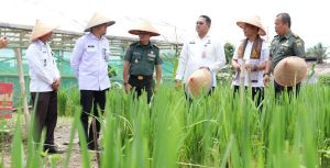 WhatsApp Image 2025-11-19 at 17.44.51 (1)