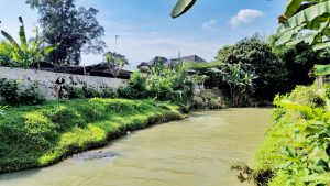 WhatsApp Image 2025-12-10 at 22.35.26