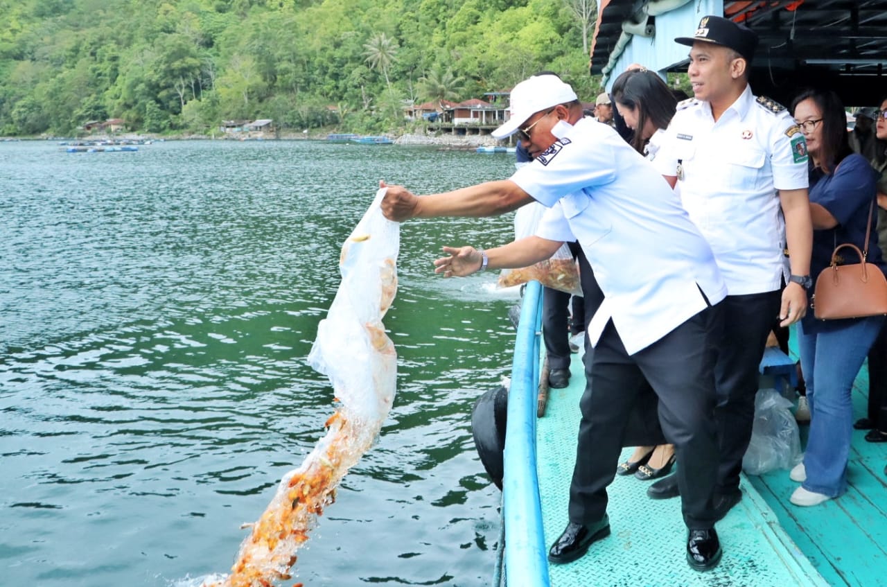 WhatsApp Image 2025-12-17 at 19.41.01 (1)