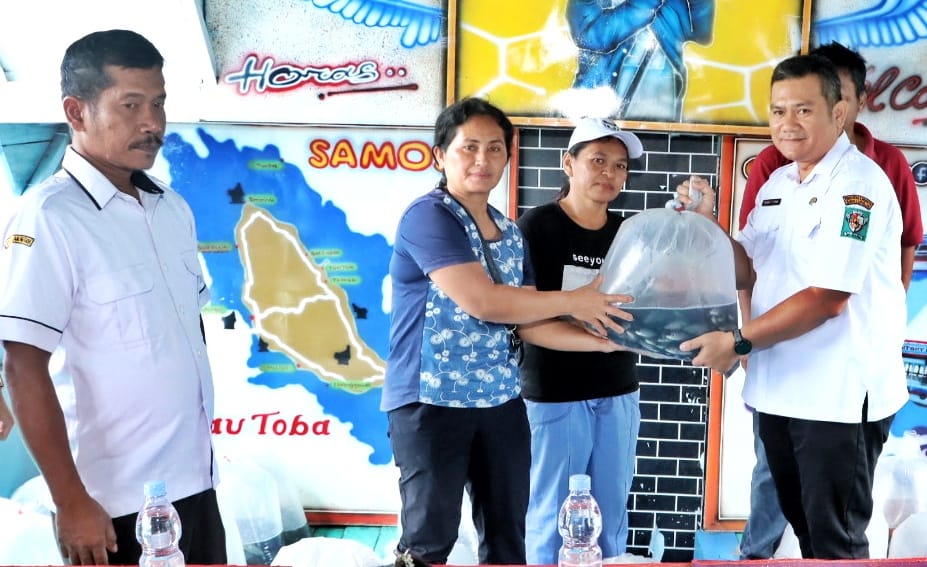 WhatsApp Image 2025-12-17 at 19.41.03 (1)