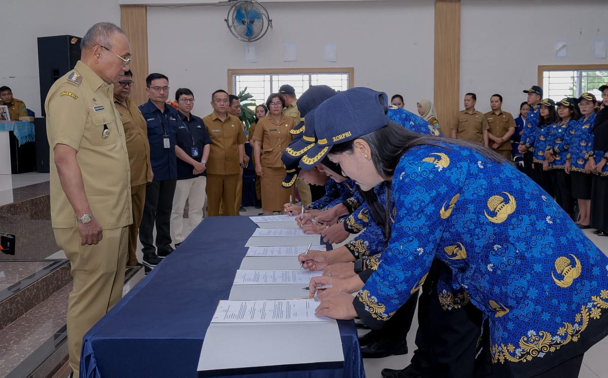 WhatsApp Image 2025-12-30 at 13.46.45 (1)