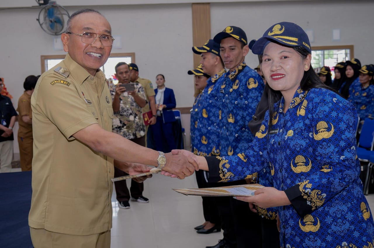 WhatsApp Image 2025-12-30 at 13.46.46