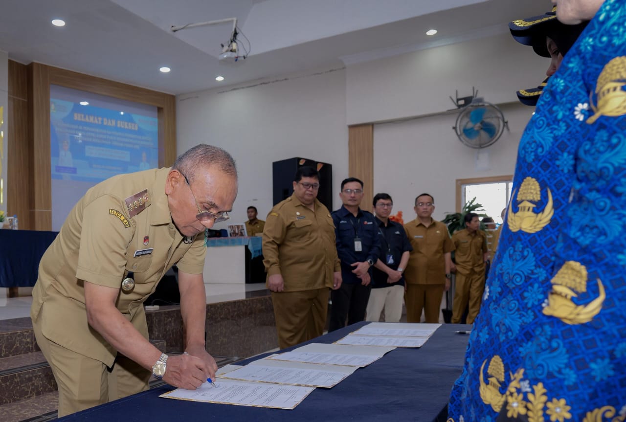 WhatsApp Image 2025-12-30 at 13.46.47 (1)