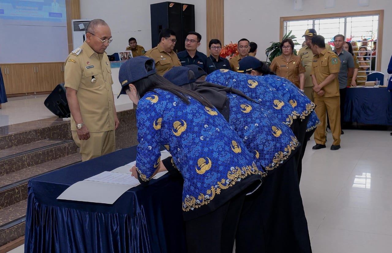 WhatsApp Image 2025-12-30 at 13.46.47