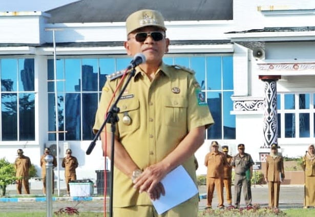 WhatsApp Image 2026-01-05 at 14.50.55