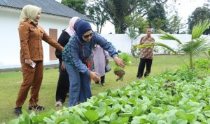 WhatsApp Image 2026-01-06 at 20.49.02 (1)