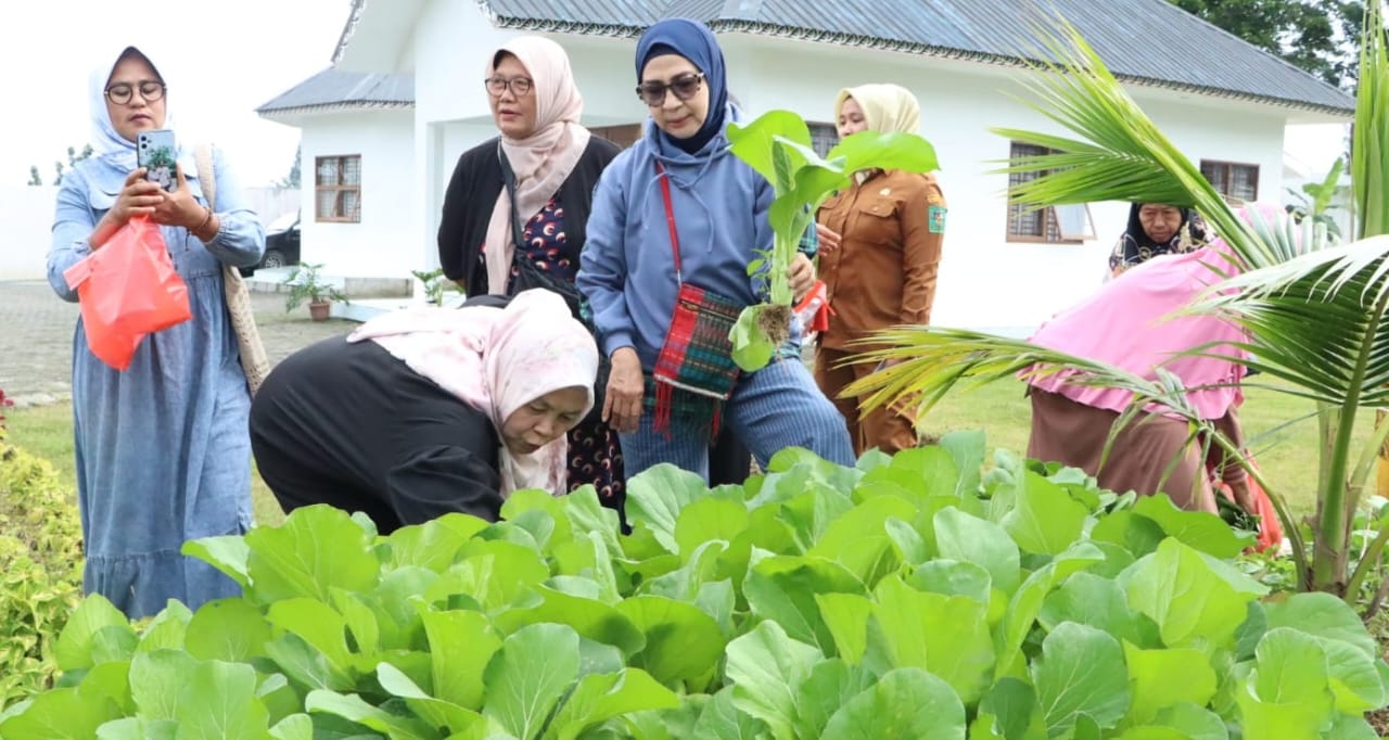 WhatsApp Image 2026-01-06 at 20.49.02