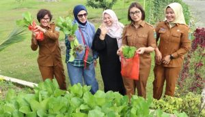 WhatsApp Image 2026-01-06 at 20.49.04 (1)