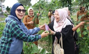 WhatsApp Image 2026-01-06 at 20.49.04