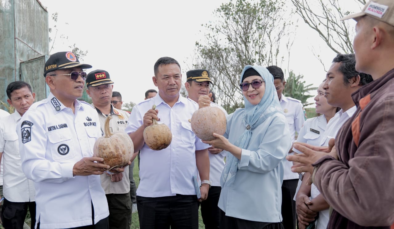 WhatsApp Image 2026-01-15 at 19.19.17