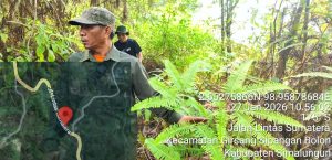 WhatsApp Image 2026-01-27 at 18.55.47