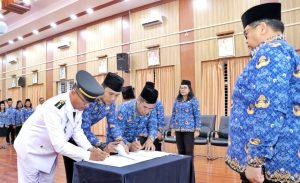 WhatsApp Image 2026-02-06 at 13.37.33