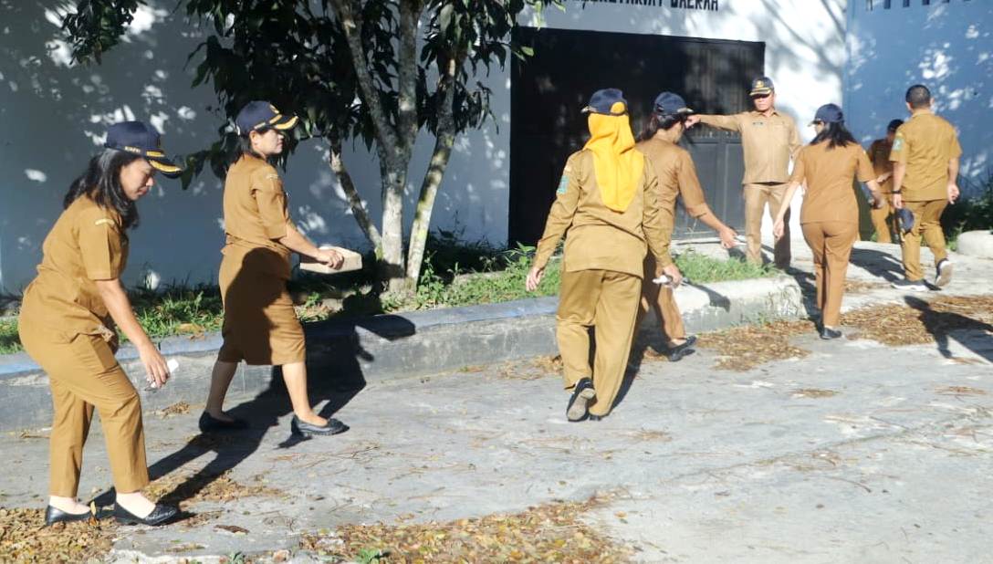 WhatsApp Image 2026-02-09 at 13.40.06