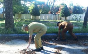 WhatsApp Image 2026-02-09 at 13.40.18