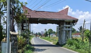 WhatsApp Image 2026-02-11 at 13.15.45