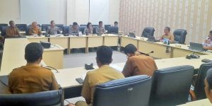 WhatsApp Image 2026-02-11 at 13.15.46