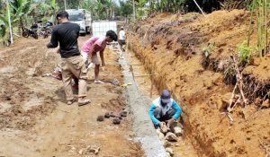 WhatsApp Image 2026-02-17 at 10.02.20