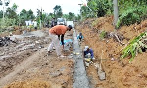 WhatsApp Image 2026-02-17 at 10.02.21