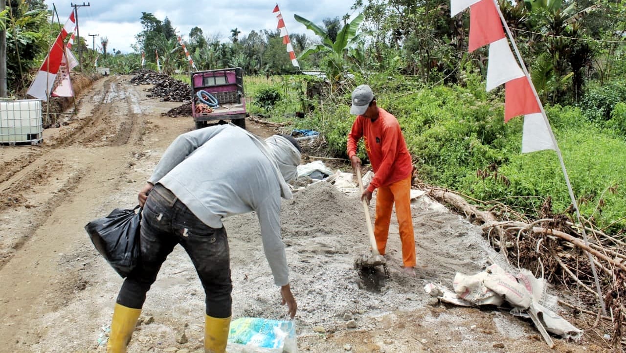 WhatsApp Image 2026-02-17 at 10.02.22 (2)