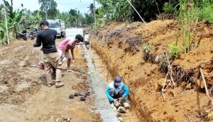 WhatsApp Image 2026-02-17 at 10.02.22