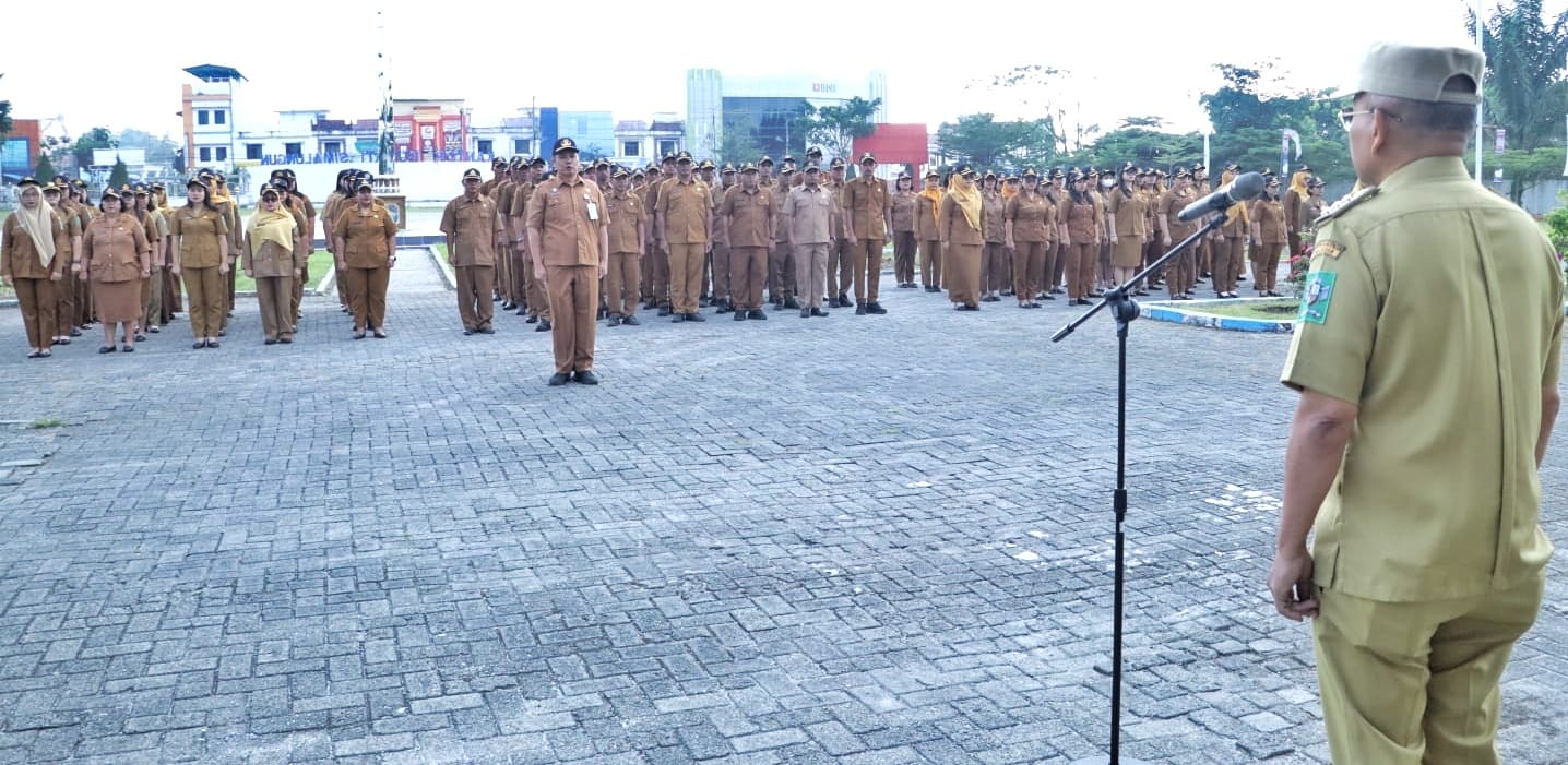 WhatsApp Image 2026-02-23 at 10.40.20 (1)