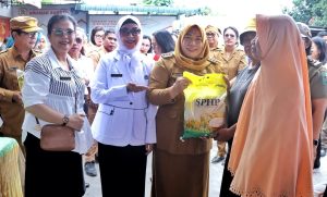 WhatsApp Image 2026-02-24 at 14.17.22