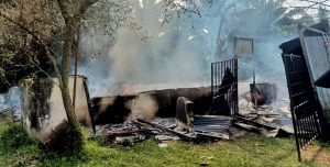 WhatsApp Image 2026-02-25 at 19.06.01 (1)