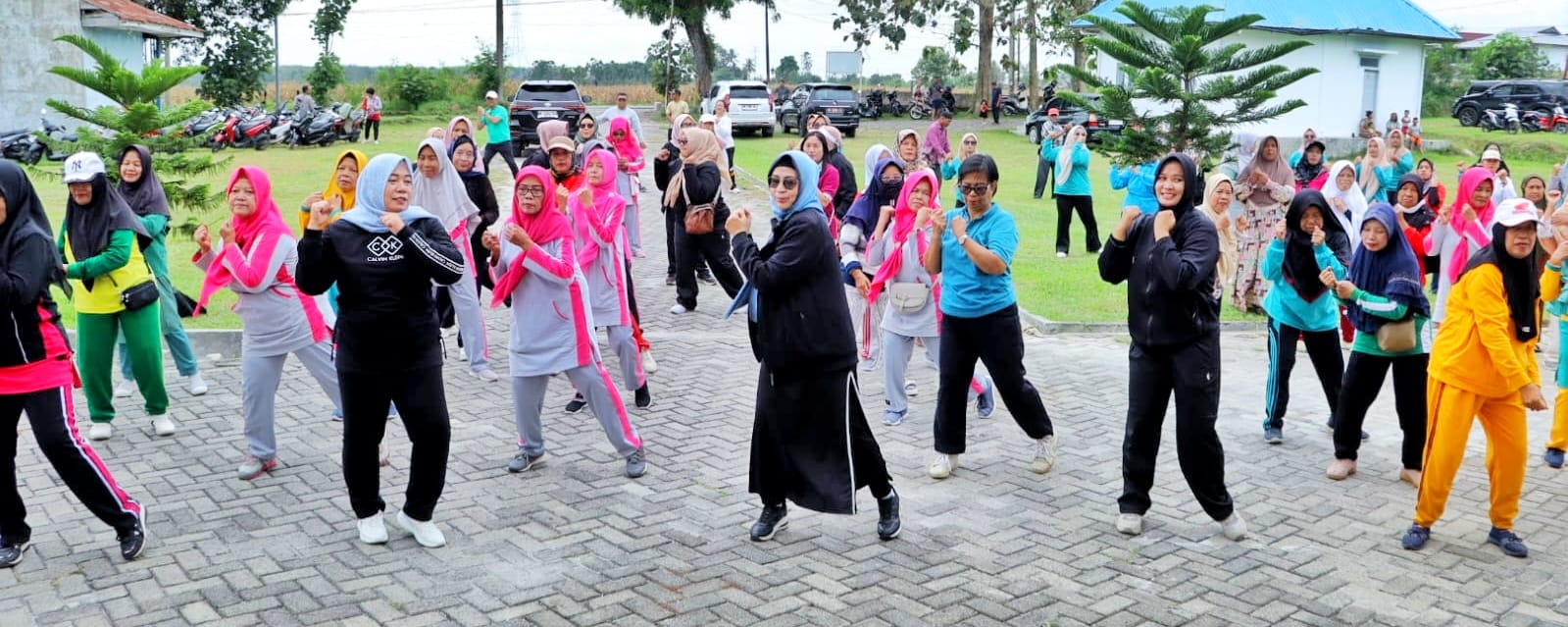 WhatsApp Image 2026-03-15 at 16.15.14 (3)