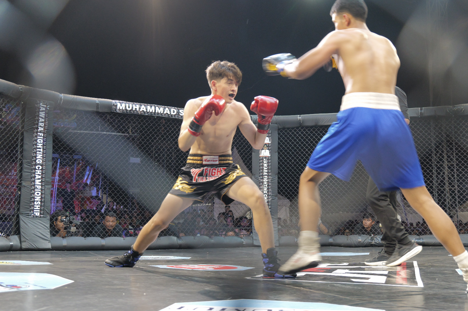 WhatsApp Image 2026-03-29 at 21.28.29