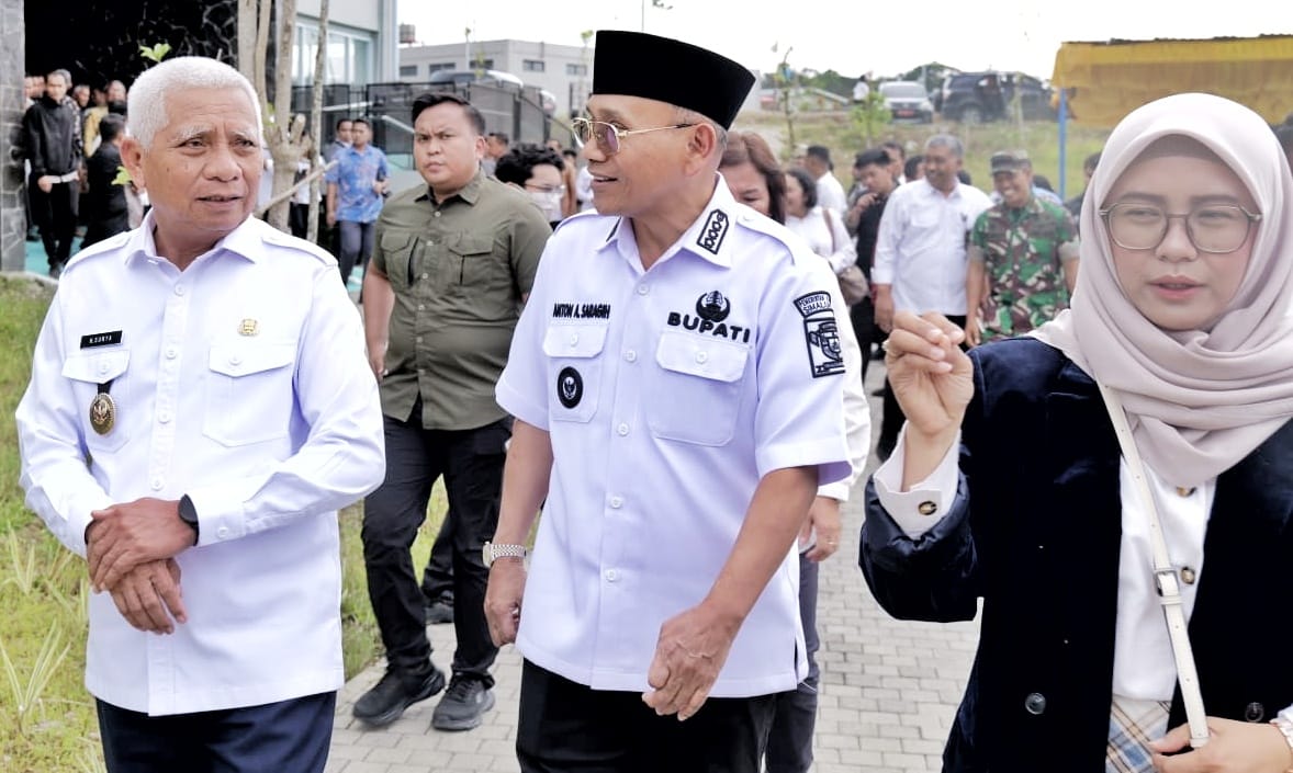 WhatsApp Image 2026-04-01 at 22.24.15 (1)