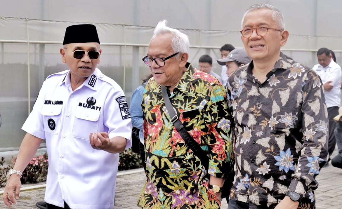 WhatsApp Image 2026-04-01 at 22.24.15 (2)