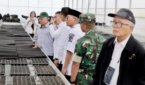 WhatsApp Image 2026-04-01 at 22.24.18