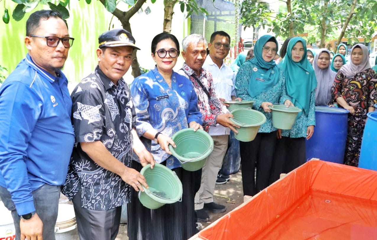 WhatsApp Image 2026-04-04 at 14.18.04 (1)