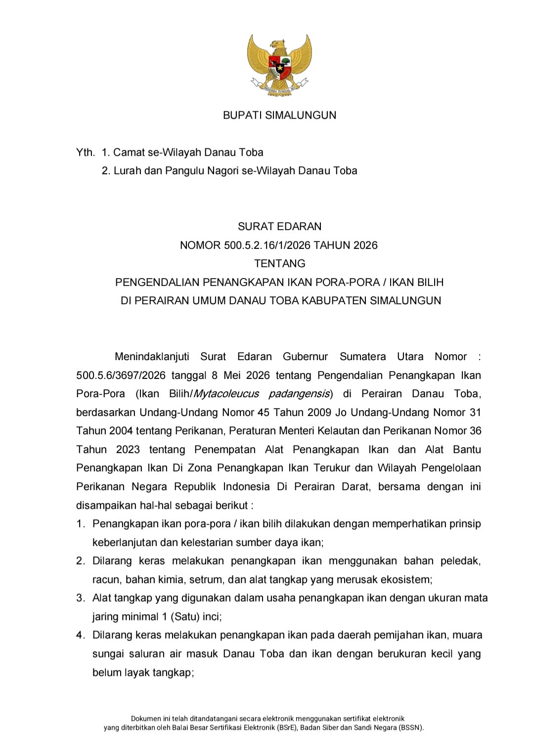 WhatsApp Image 2026-07-31 at 22.04.49
